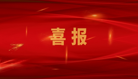 熱烈祝賀我公司通過(guò)山東省制造業(yè)單項(xiàng)冠軍企業(yè)復(fù)核！